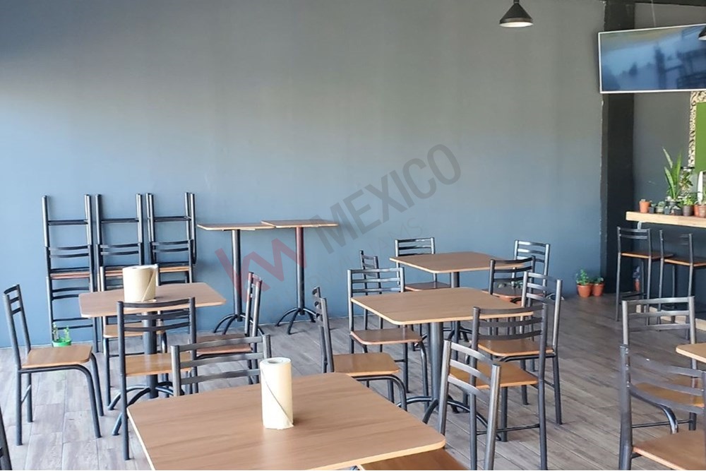 Imagen 5 de 5