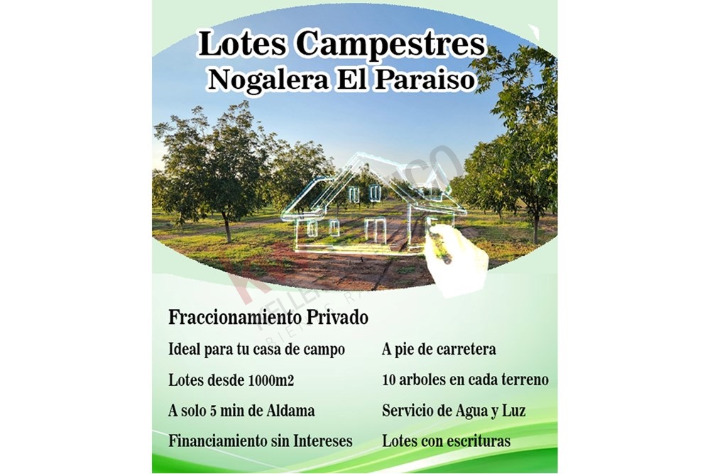Imagen 2 de 5