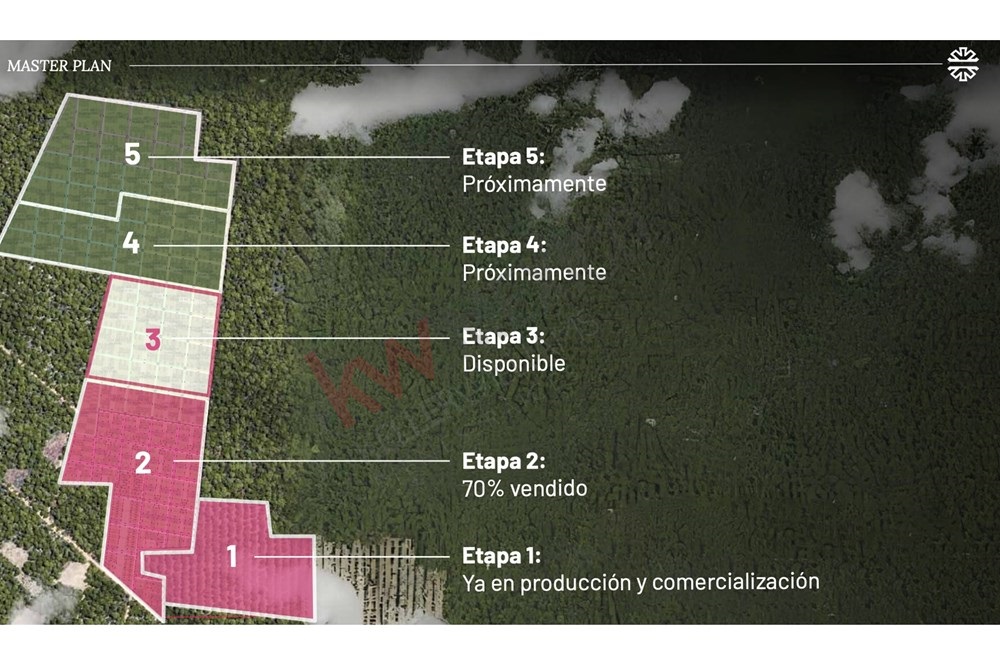 Imagen 3 de 5