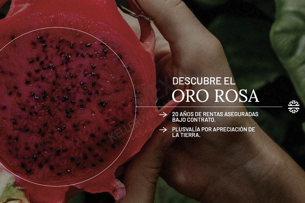 Imagen 2 de 5