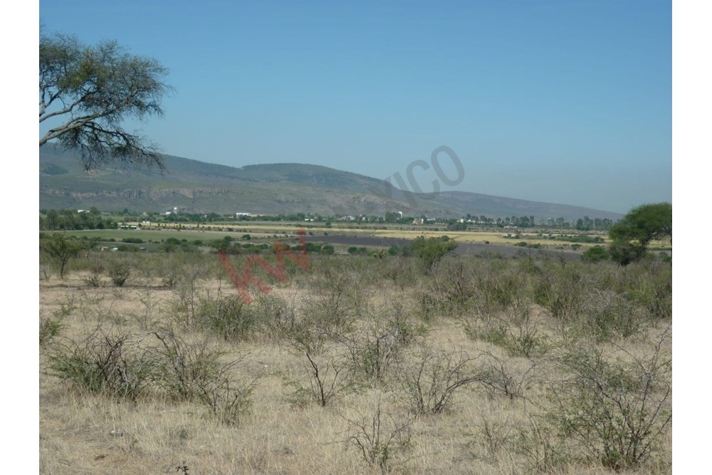 Imagen 5 de 5