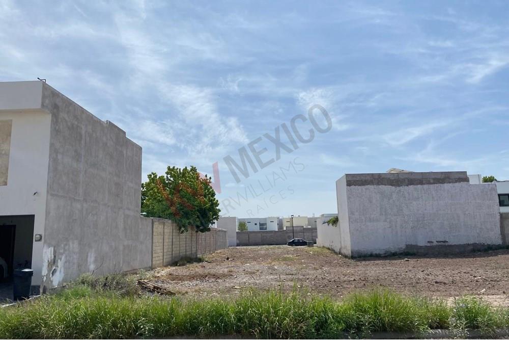 Imagen 4 de 5