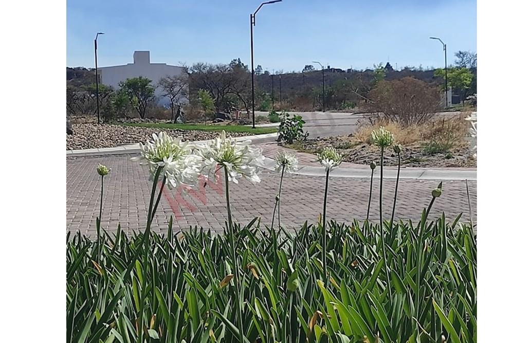 VENTA 2 TERRENOS JUNTOS PLANOS CIUDAD MADERA MONTAÑA URGENCIA MEDICA