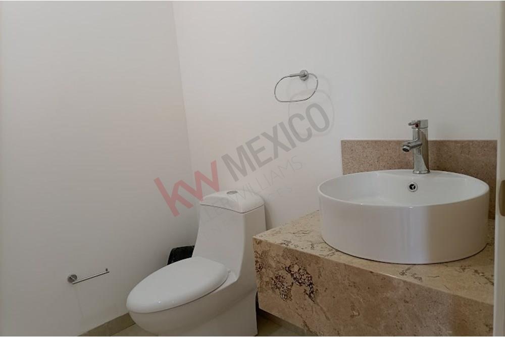 Imagen 3 de 5