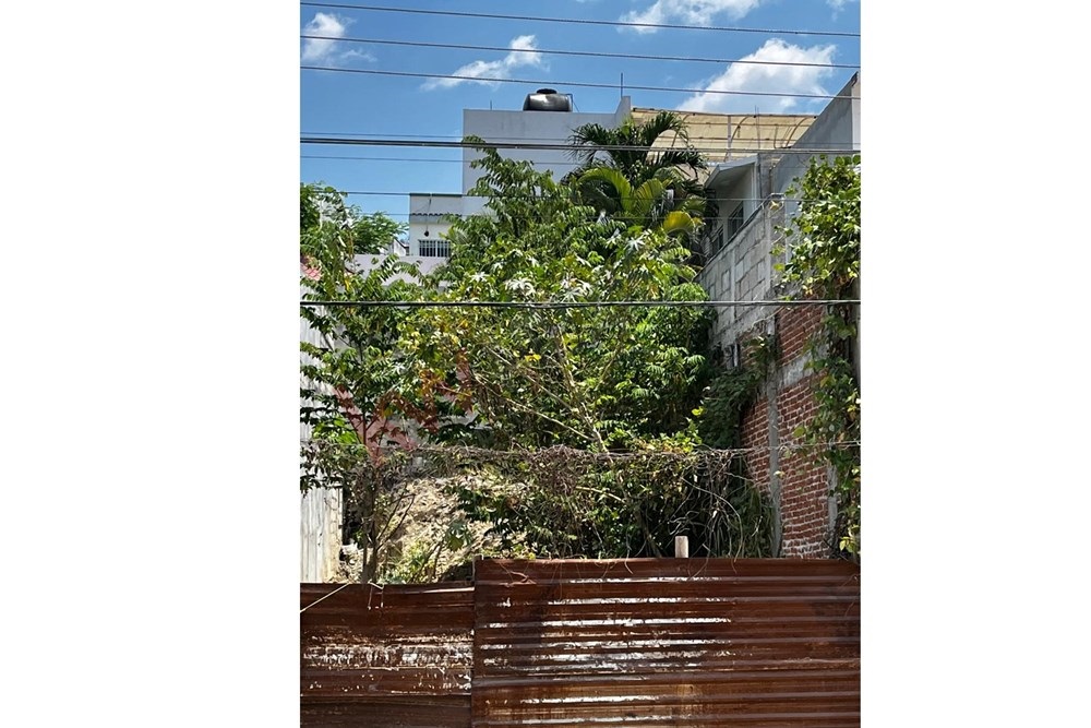 Imagen 2 de 5