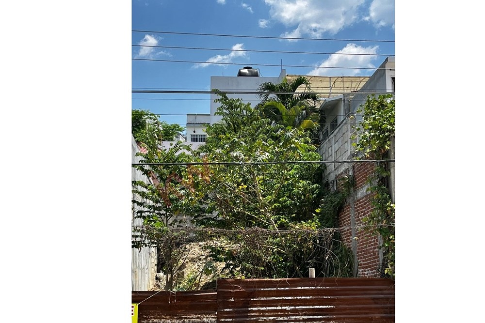 Imagen 4 de 5