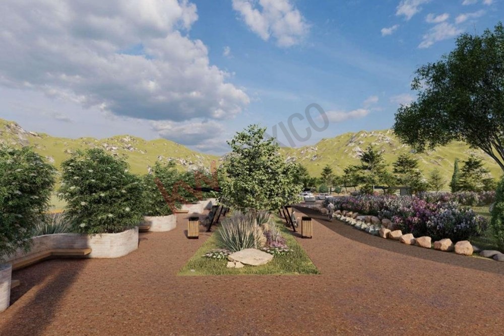 Imagen 2 de 3
