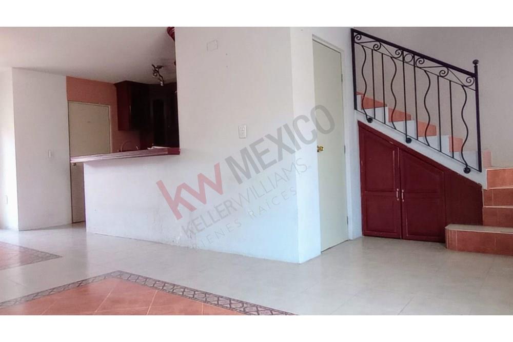 Imagen 3 de 5
