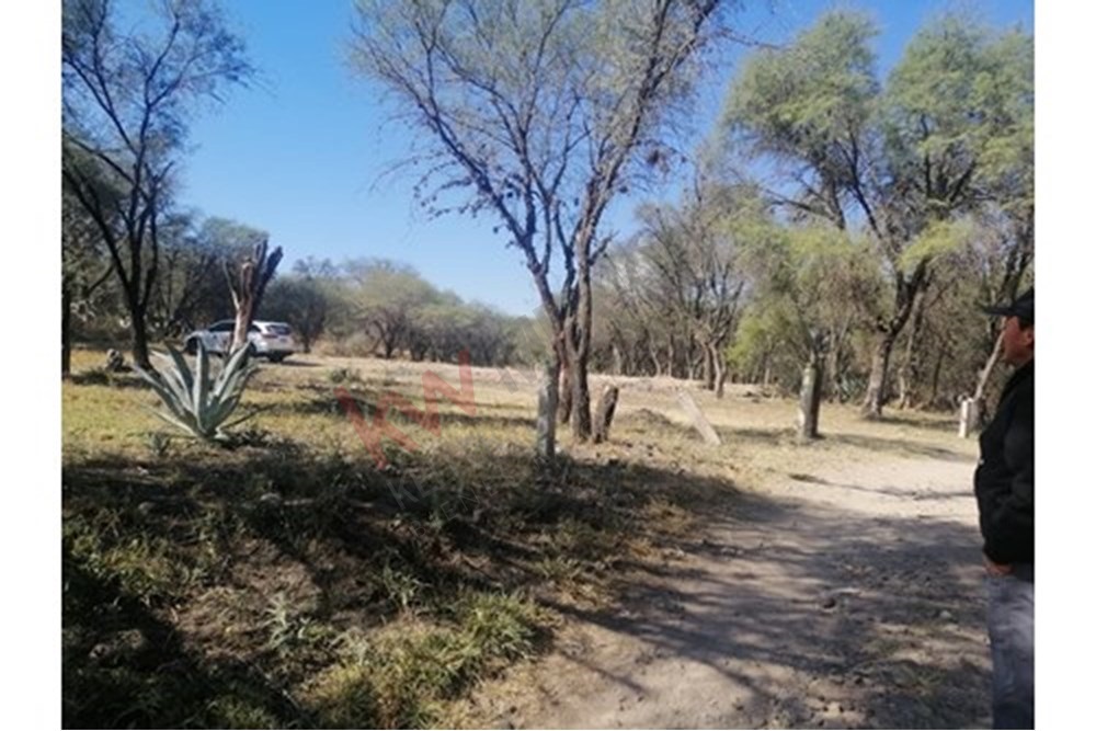 Imagen 2 de 5