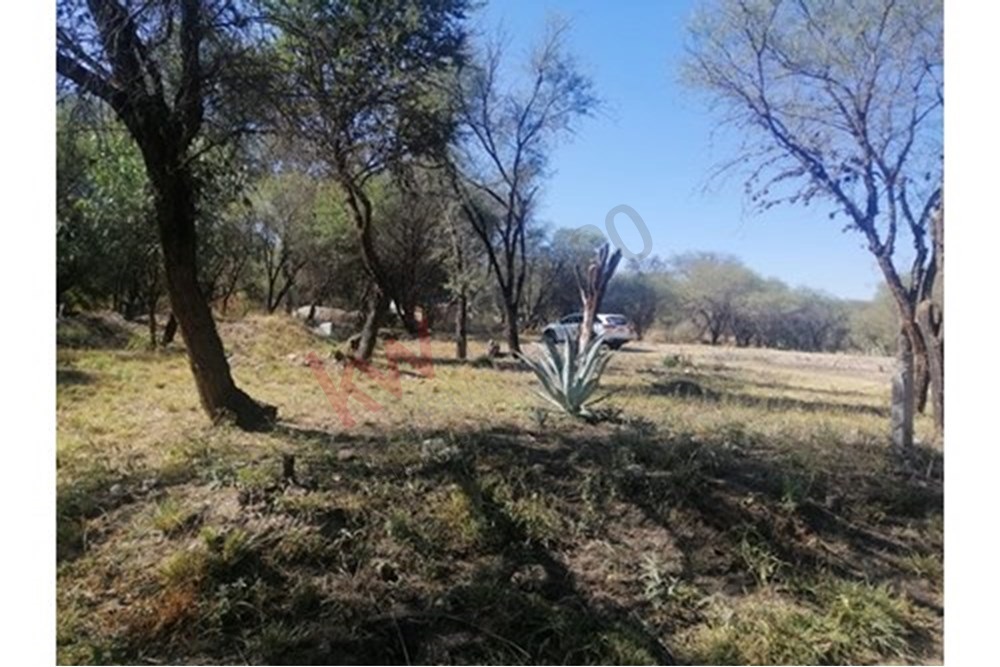 Imagen 3 de 5