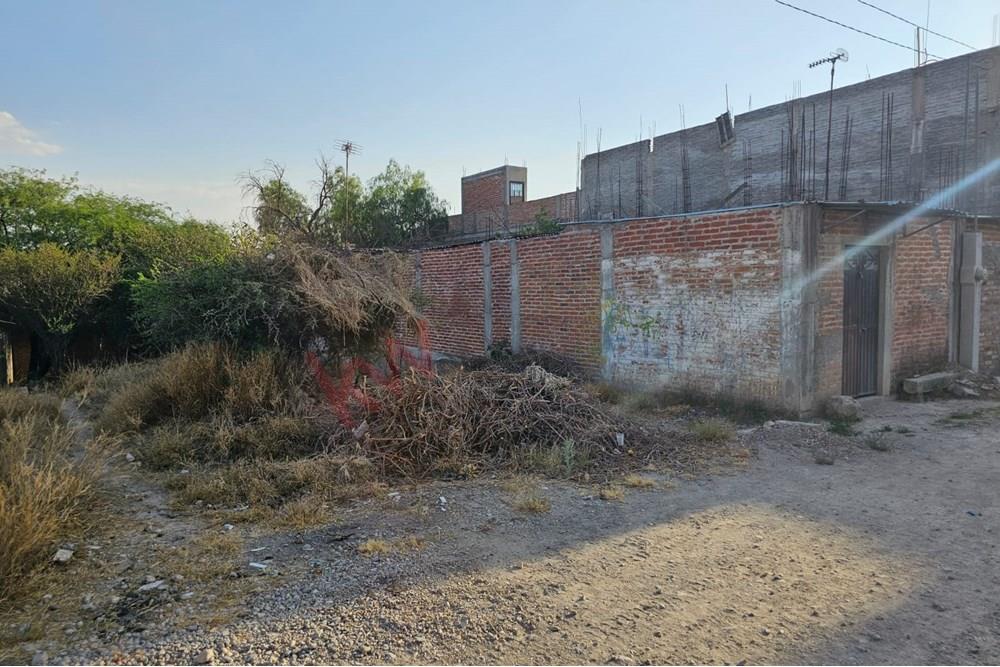 Imagen 2 de 5