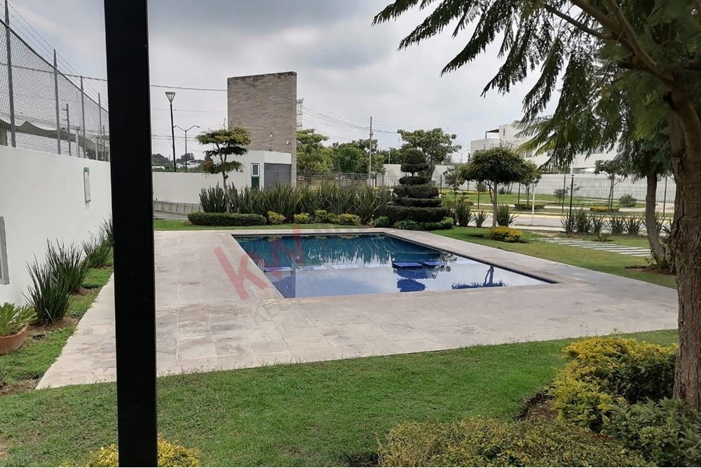 Imagen 3 de 5