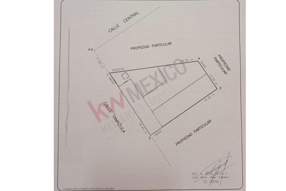 Imagen 3 de 5