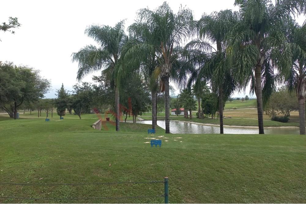 Imagen 4 de 5