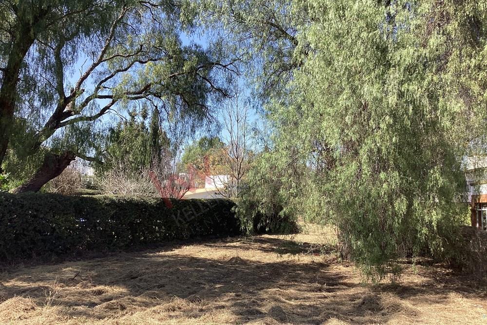 Terreno en fraccionamiento club de golf Tequisquiapan