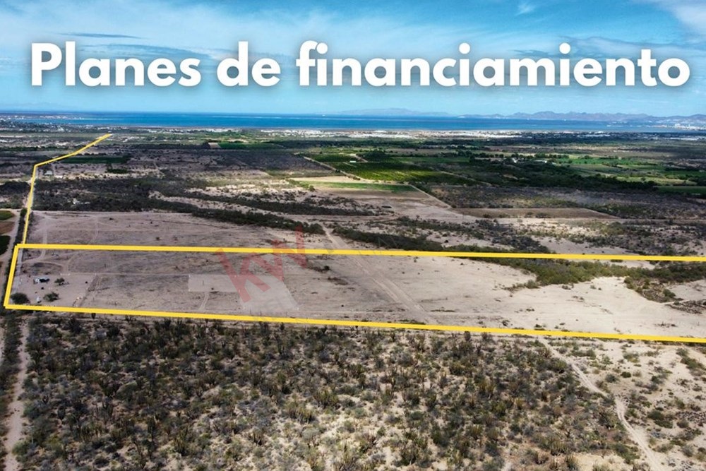 Imagen 3 de 5
