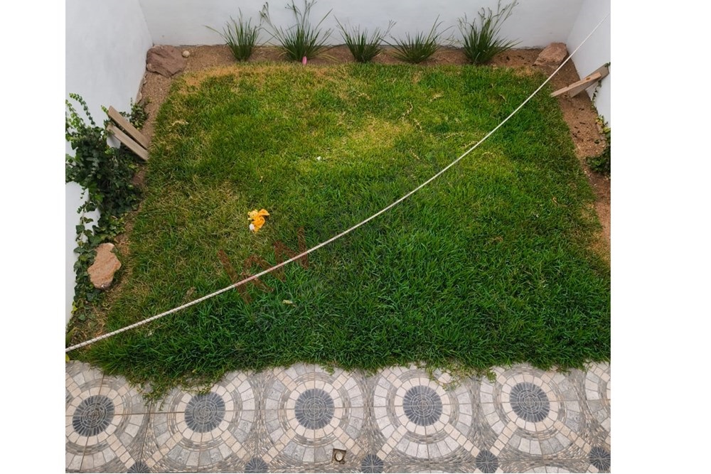 property image 55