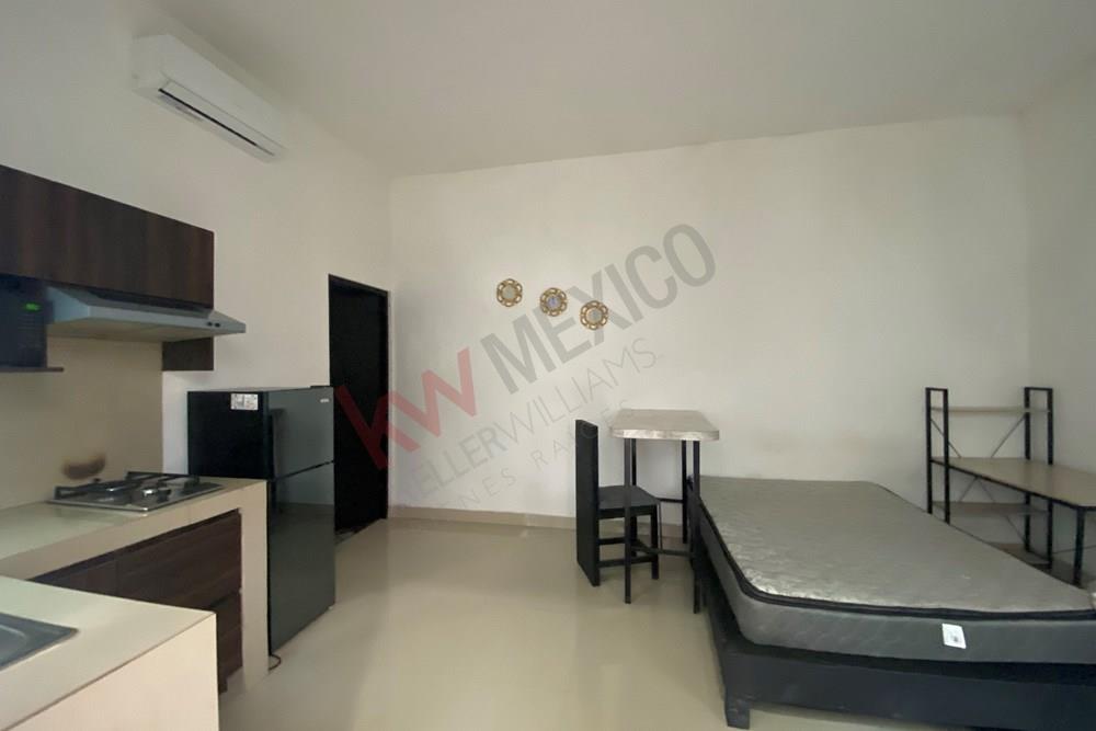 Imagen 4 de 5