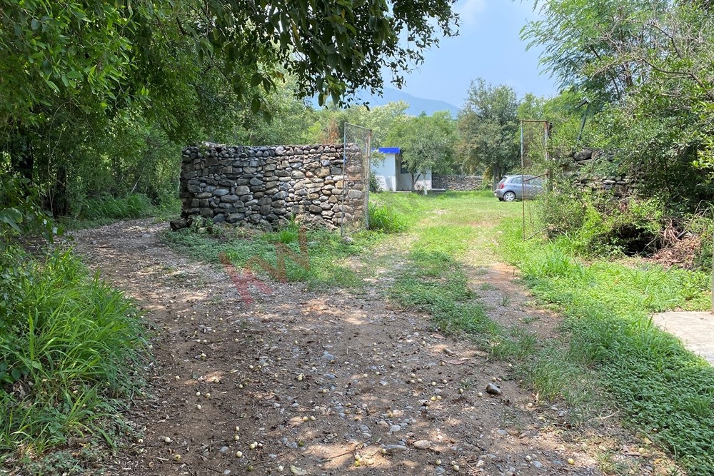 Imagen 4 de 5