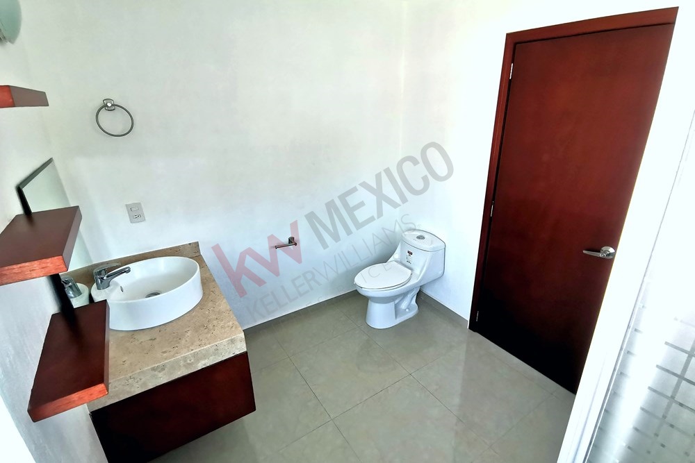 Imagen 3 de 5