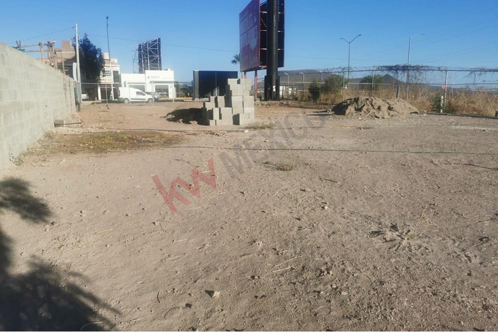 Imagen 2 de 3