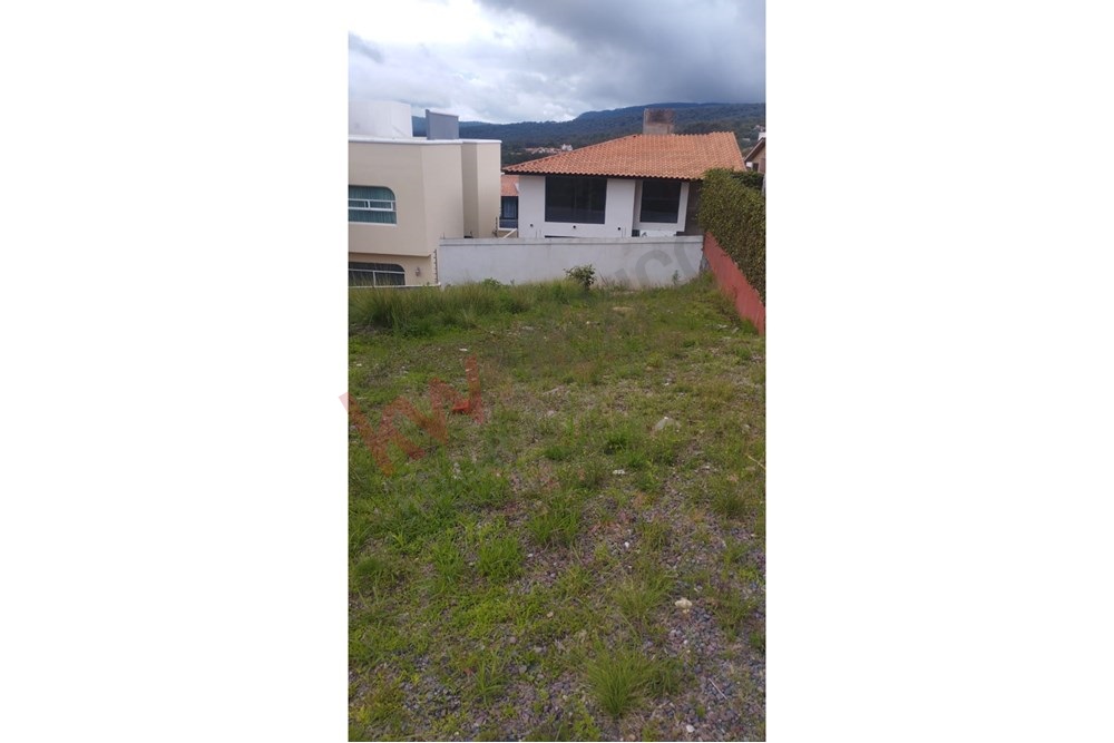 Imagen 5 de 5
