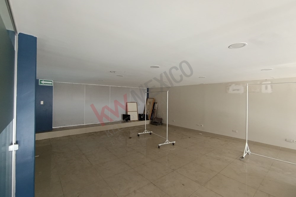 Imagen 3 de 5
