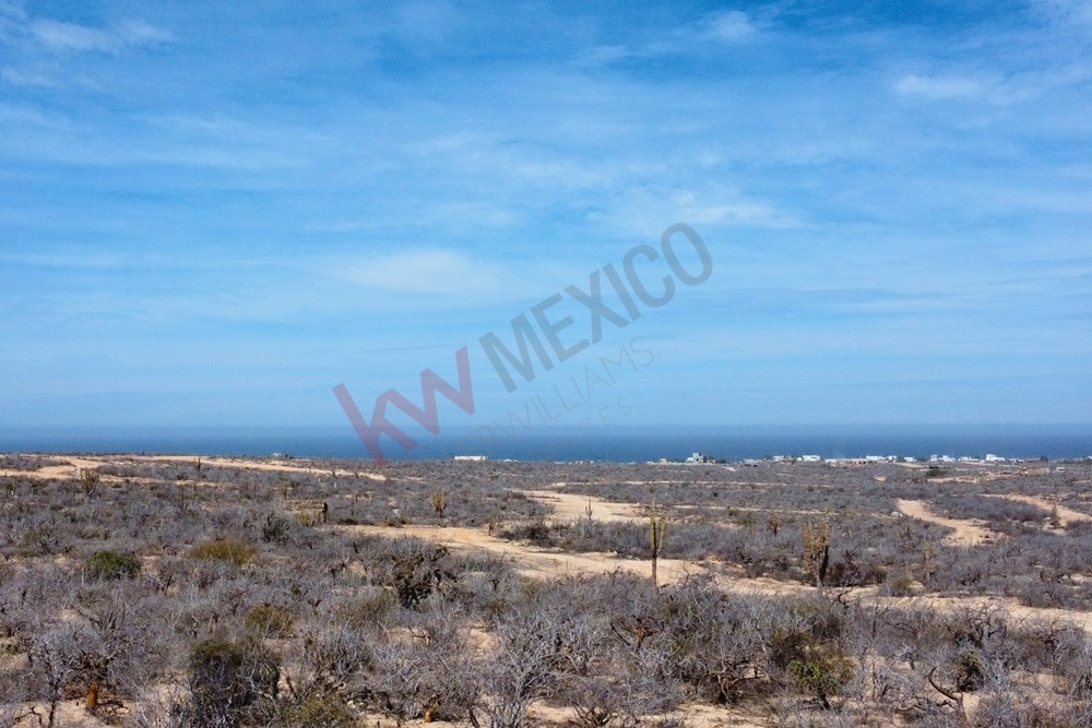 Imagen 4 de 5