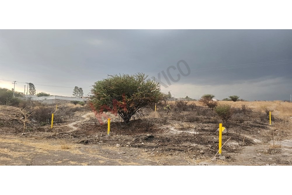 Imagen 5 de 5