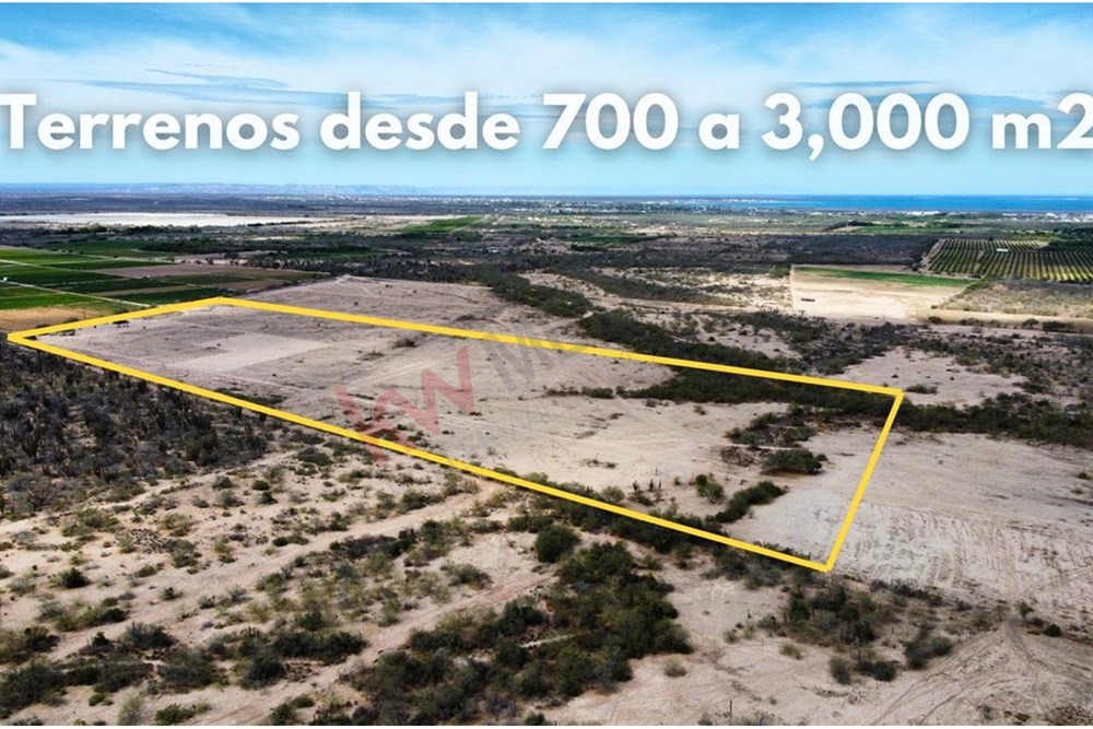 Imagen 4 de 5