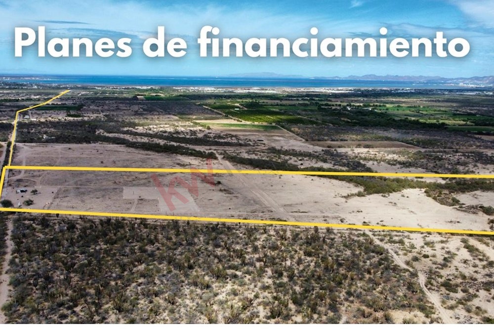 Imagen 3 de 5
