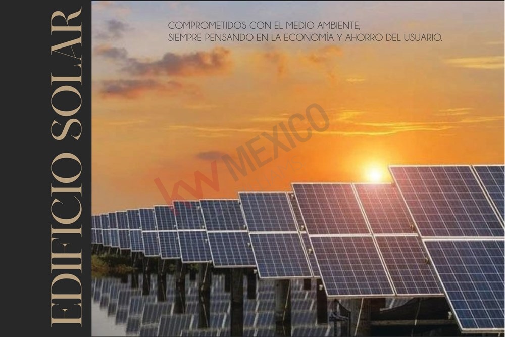 Imagen 5 de 5