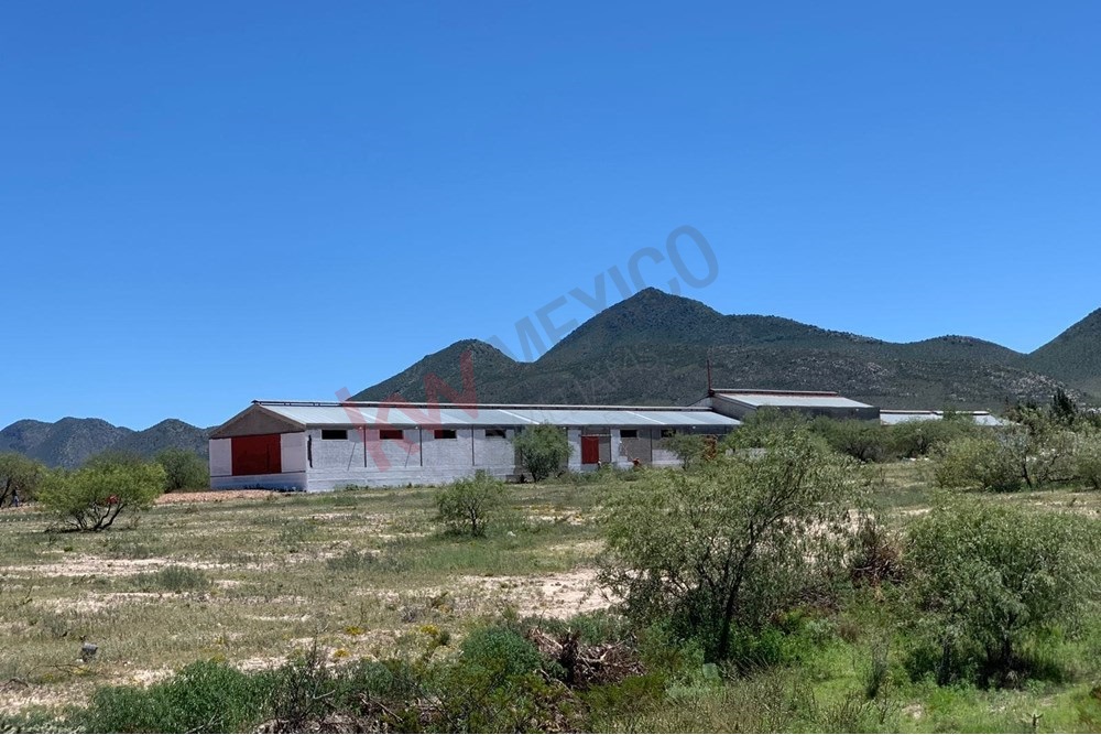 'Oportunidad de Inversión en Ejido Agua Nueva'