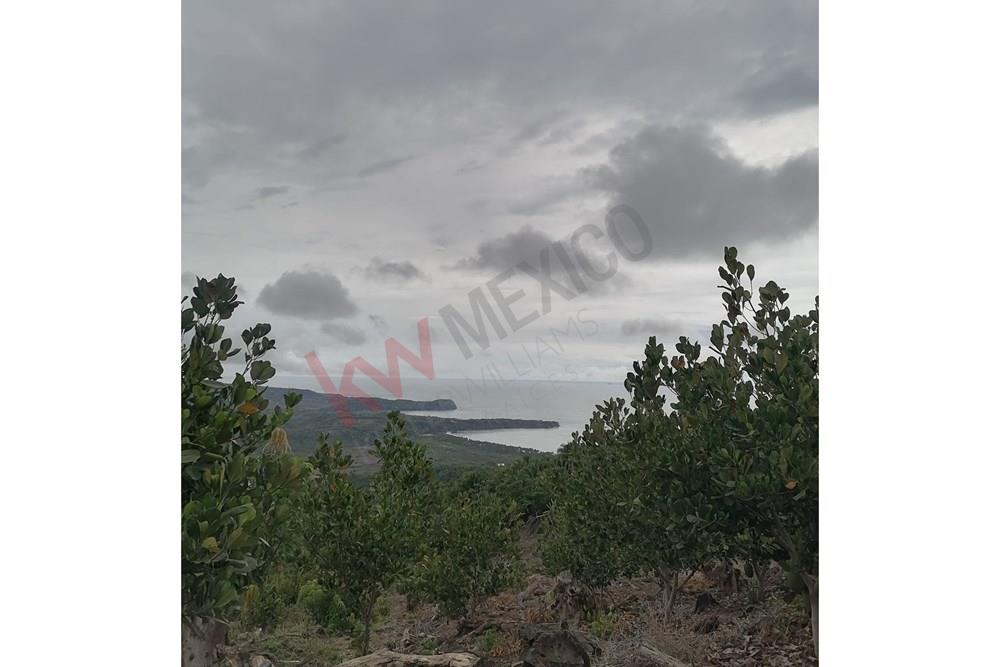 Imagen 2 de 5