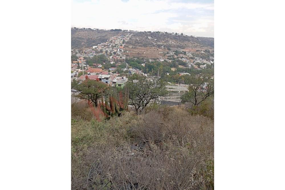 Imagen 5 de 5