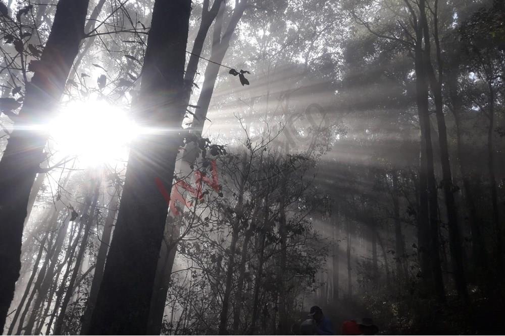 Terreno de 13,804m2 en Laguna de Servin; ubicado en zona de bosque de encinos y pinos en el estado de Michoacán.
