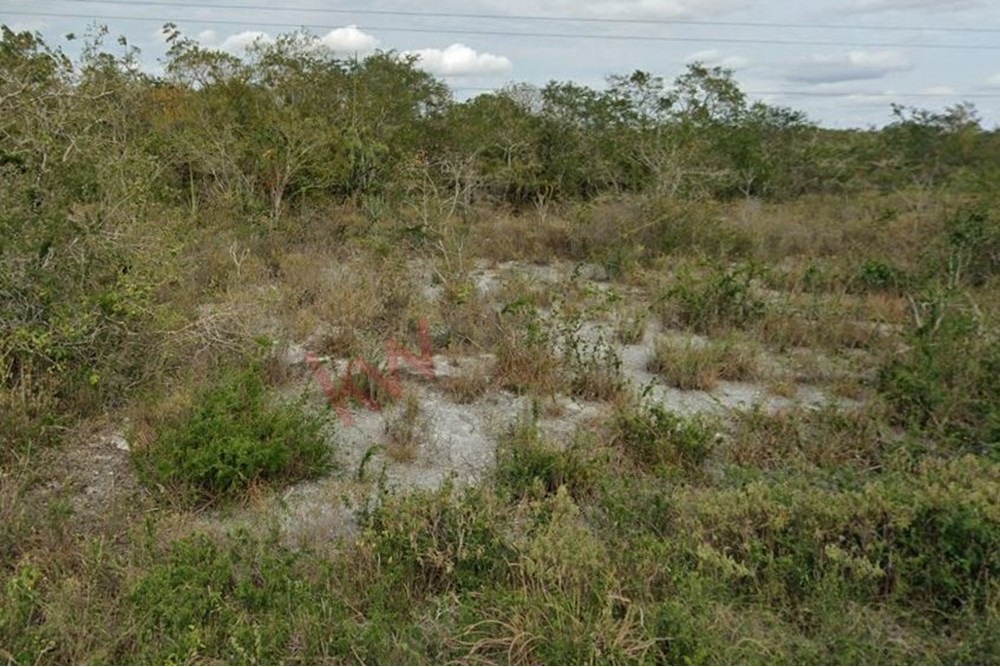 Imagen 3 de 4