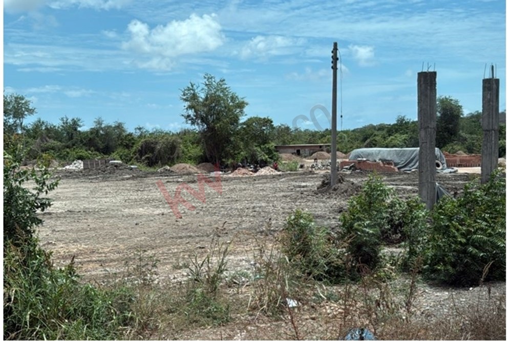 Imagen 3 de 3