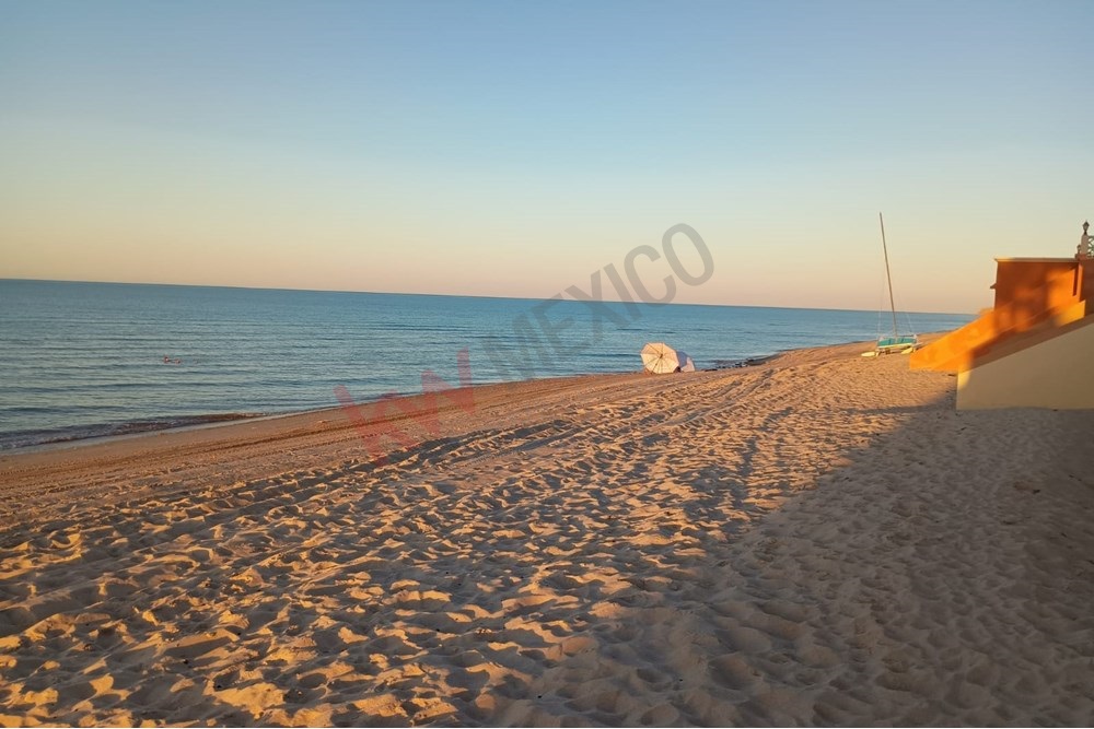 Imagen 4 de 5