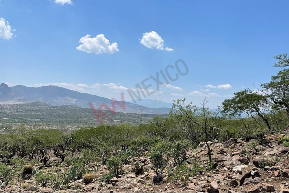 Venta Terreno Bernal. Ideal para Inversion de Desarrollo Vacacional