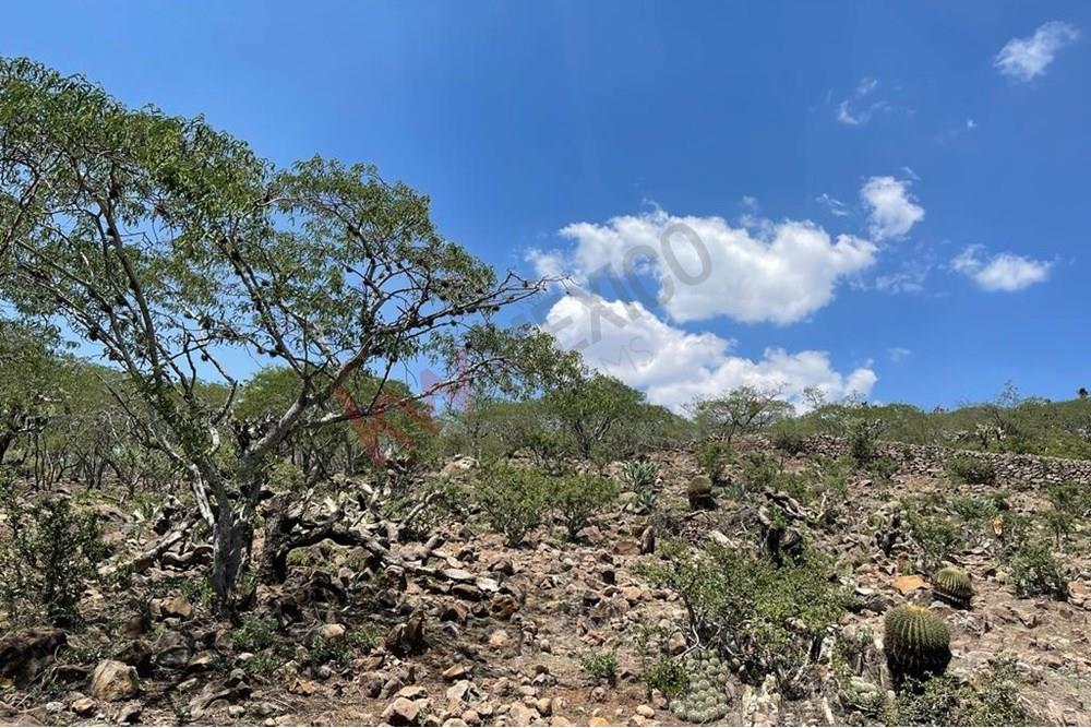 Venta Terreno Bernal. Ideal para Inversion de Desarrollo Vacacional