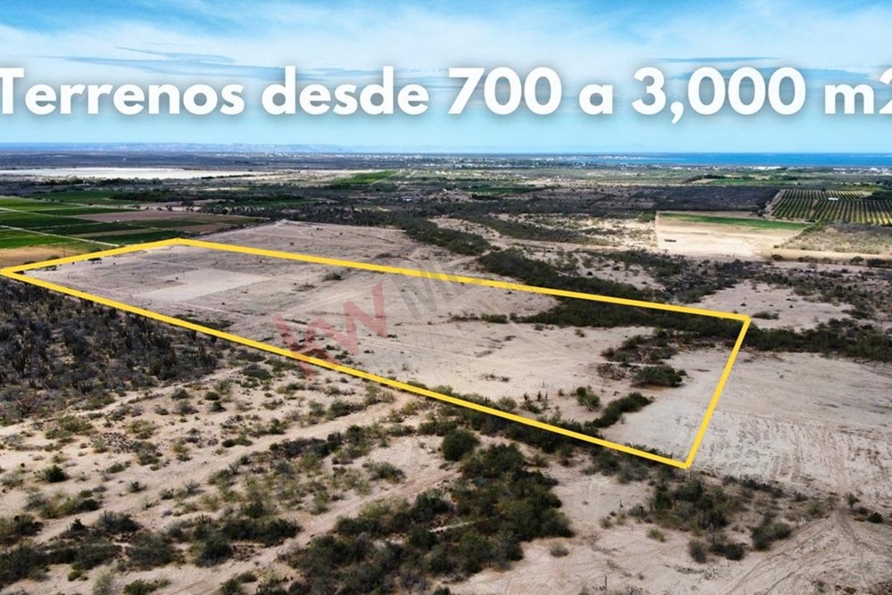 Imagen 4 de 5