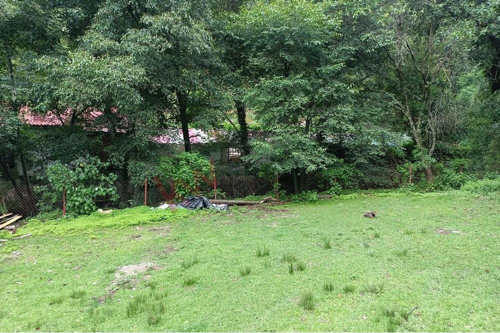 Imagen 4 de 5