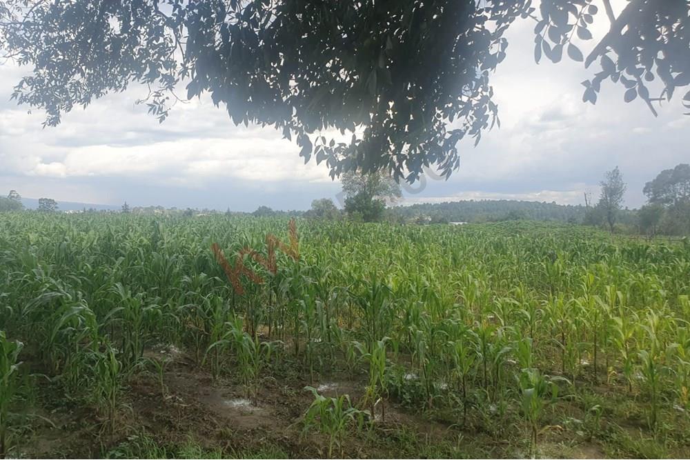 ATENCION INVERSIONISTA!!  EN VENTA  EXCELENTE PREDIO CON USO DE SUELO HABITACIONAL!!!