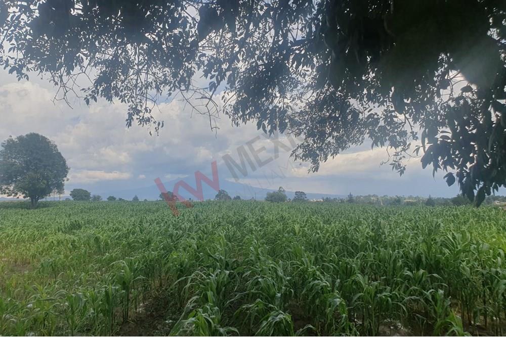 ATENCION INVERSIONISTA!!  EN VENTA  EXCELENTE PREDIO CON USO DE SUELO HABITACIONAL!!!