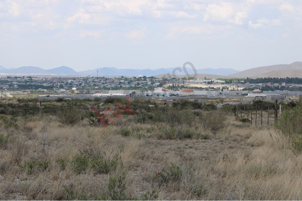 Imagen 5 de 5