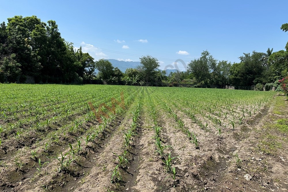Terreno en Venta con bodega y Bardas Perimetrales – Yautepec, Morelos
