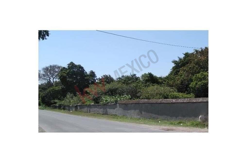 Imagen 3 de 4