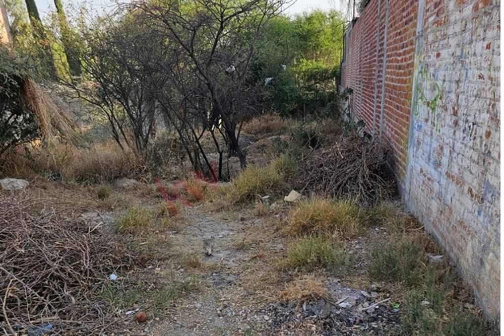 Imagen 3 de 5