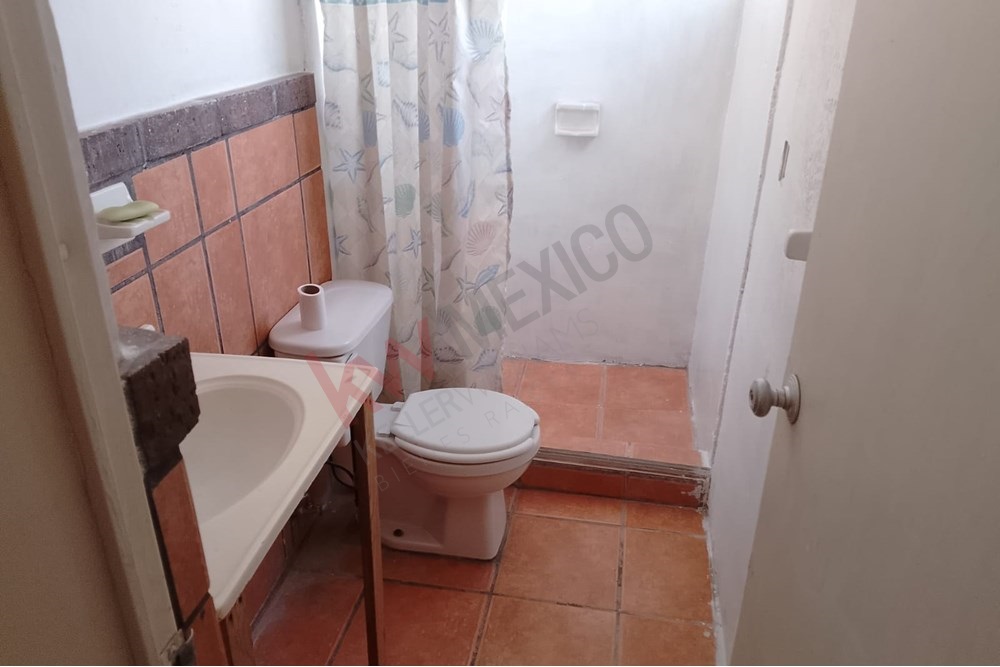 Imagen 3 de 5